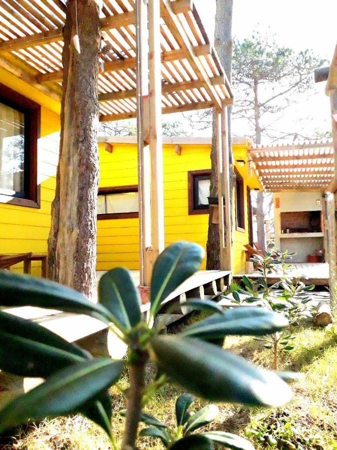 Diabro'S Villa Punta Del Diablo Exteriör bild